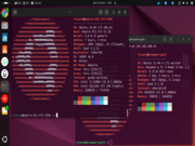 Gnome Ubuntu 24.04 + Server 22.04